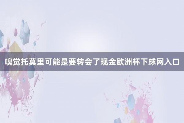 嗅觉托莫里可能是要转会了现金欧洲杯下球网入口