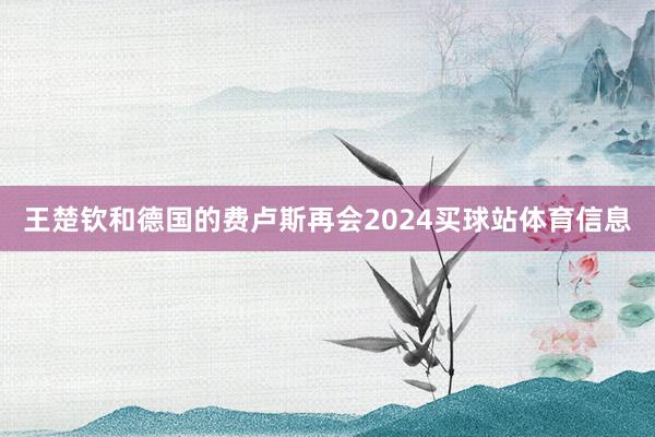 王楚钦和德国的费卢斯再会2024买球站体育信息