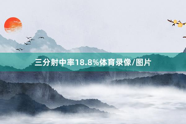 三分射中率18.8%体育录像/图片