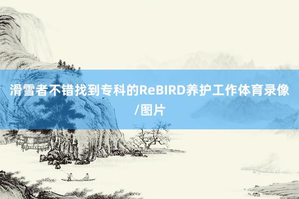 滑雪者不错找到专科的ReBIRD养护工作体育录像/图片