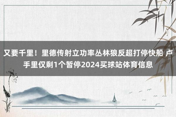 又要千里！里德传射立功率丛林狼反超打停快船 卢手里仅剩1个暂停2024买球站体育信息