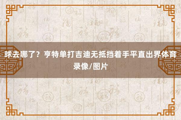 球去哪了？亨特单打吉迪无抵挡着手平直出界体育录像/图片