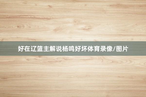 好在辽篮主解说杨鸣好坏体育录像/图片