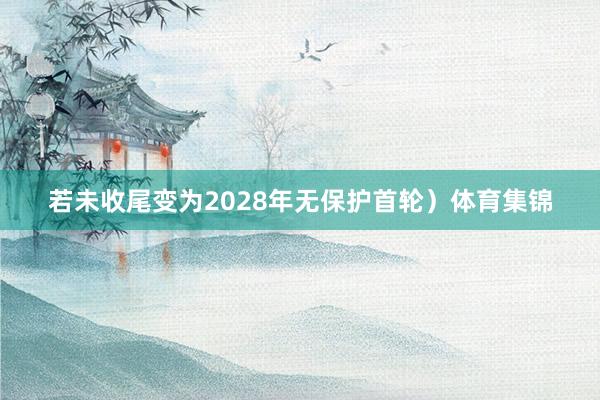 若未收尾变为2028年无保护首轮）体育集锦