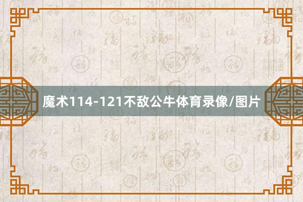 魔术114-121不敌公牛体育录像/图片