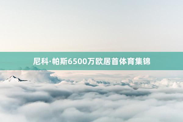 尼科·帕斯6500万欧居首体育集锦