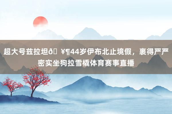 超大号兹拉坦🥶44岁伊布北止境假，裹得严严密实坐狗拉雪橇体育赛事直播