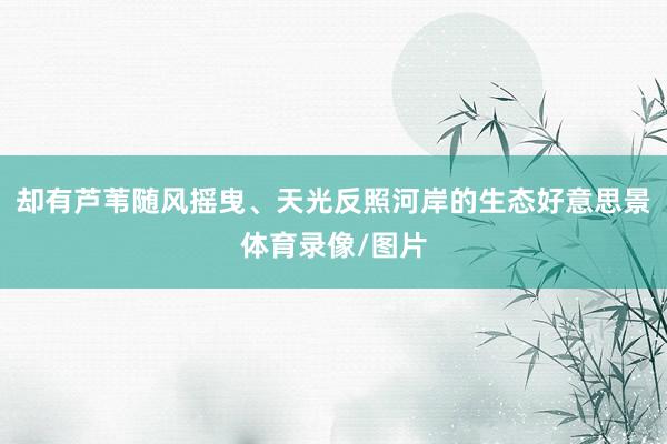 却有芦苇随风摇曳、天光反照河岸的生态好意思景体育录像/图片