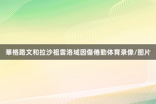 華格路文和拉沙祖雲洛域因傷倦勤体育录像/图片